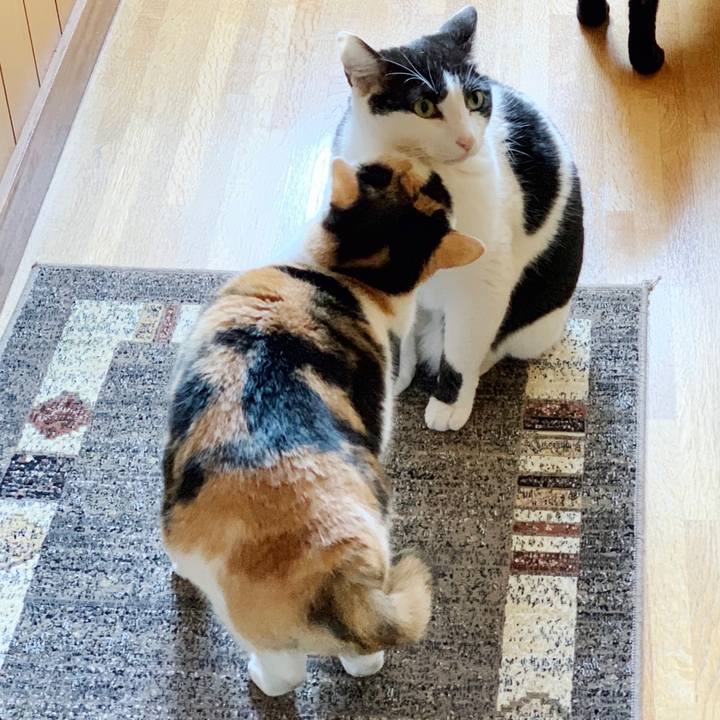 997e9e77 3424 4562 946a 40e0824e1446 1552788736320