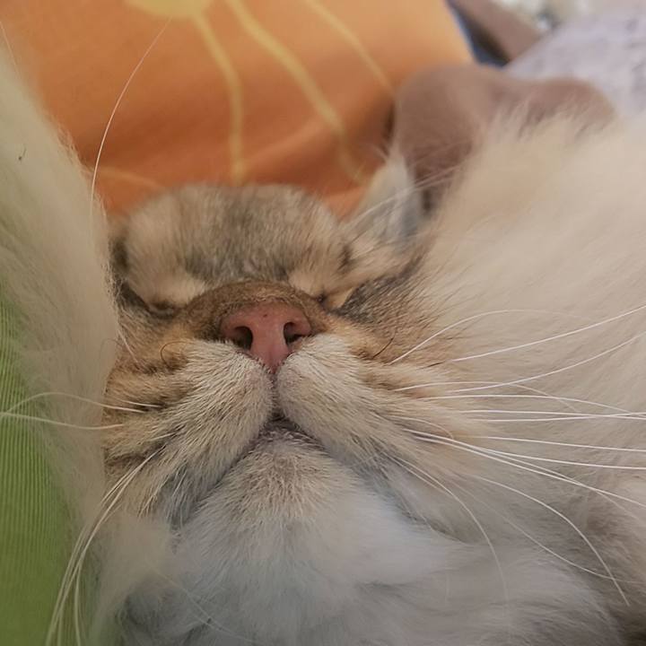 997eb99a e6af 4b40 a331 87e0d2d0a68b 1574227484058