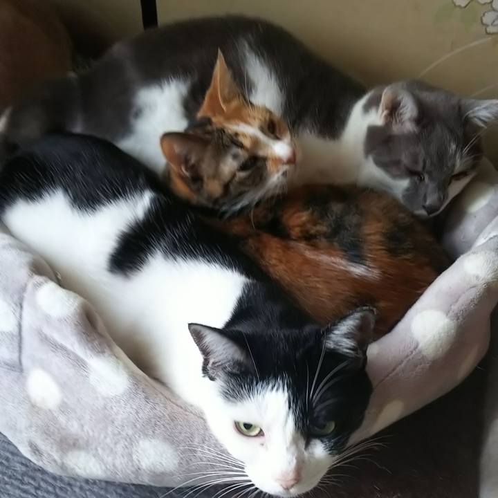 997ef321 df39 4ff8 a61e 2c7ada6ee563 1572767737329