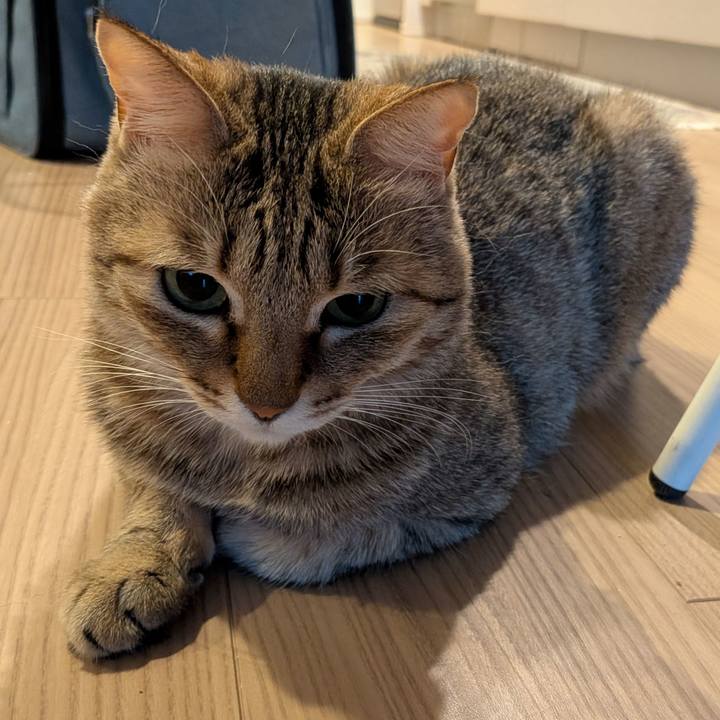 997f2580 ab1c 4281 b096 b11cf024b7f7 1766790977585