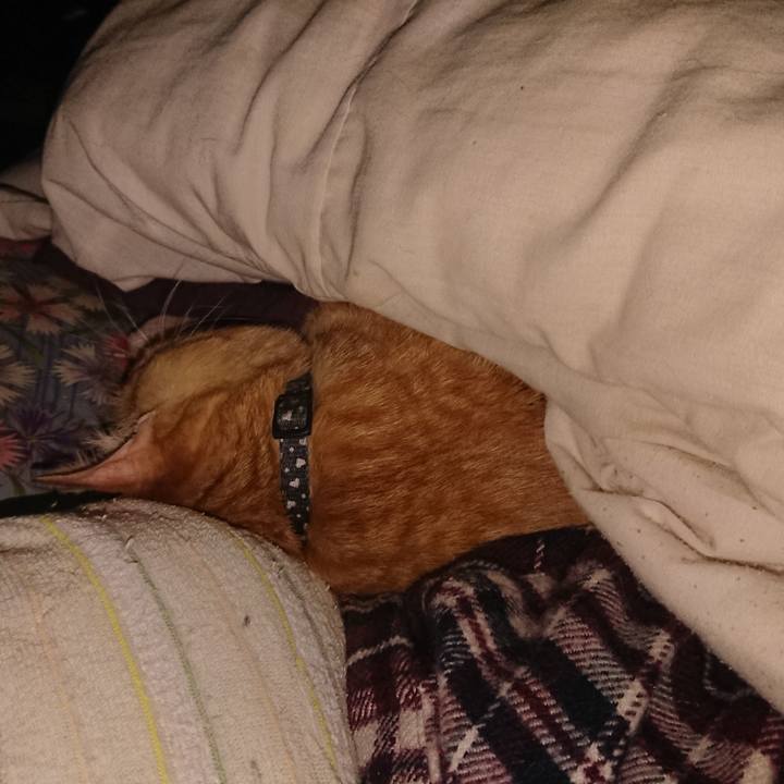 997f3414 efb8 4991 8c69 cf8407708e20 1643556140968