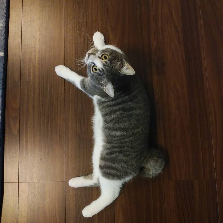 997f3b23 ea62 4a07 a7ae 24ae25190999 1570519404677