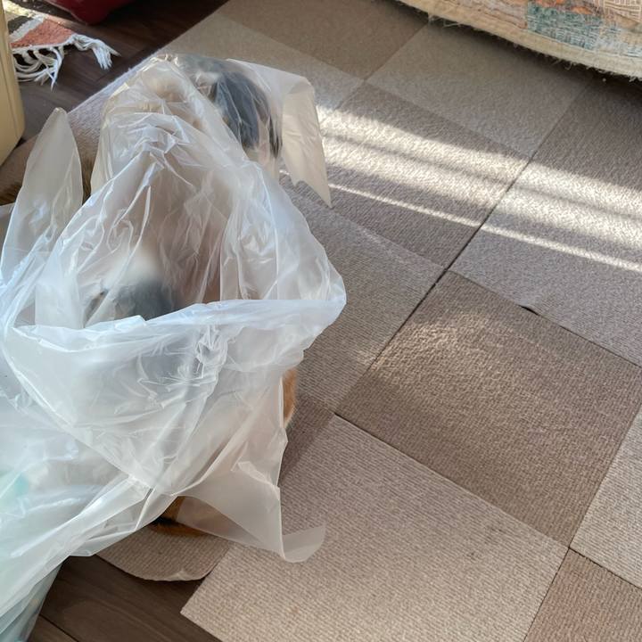 997f90ea 97e4 44b0 bcd1 cd8c4189ede8 1675581151531