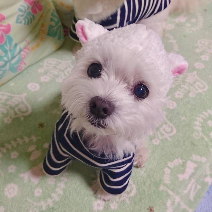 997f9495 21ff 4a33 a54a 98438579eba9 1546925932319