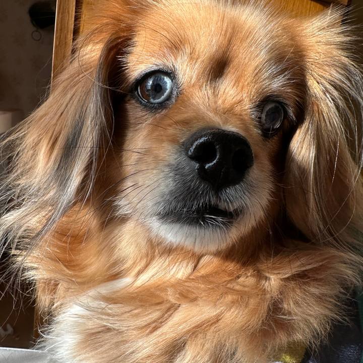 997faa76 311c 4de9 bc37 3966c79dce21 1710105952593