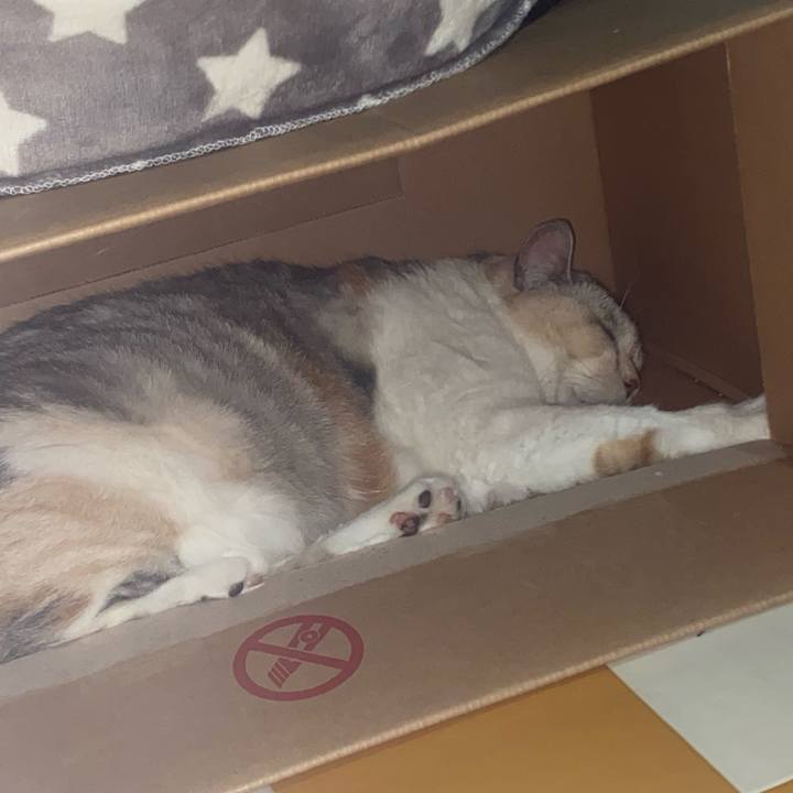 997fb5ba 126e 4258 bf30 decc68ae4639 1718422404038