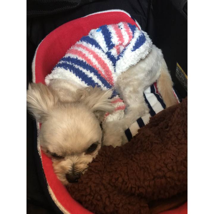 998000b5 9c48 47bc 92e1 bb5338b17be8 1519470118171