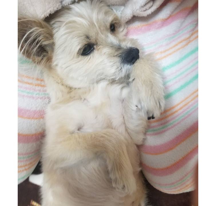 998080c9 9def 4f3c beea e49a89024add 1554560860718