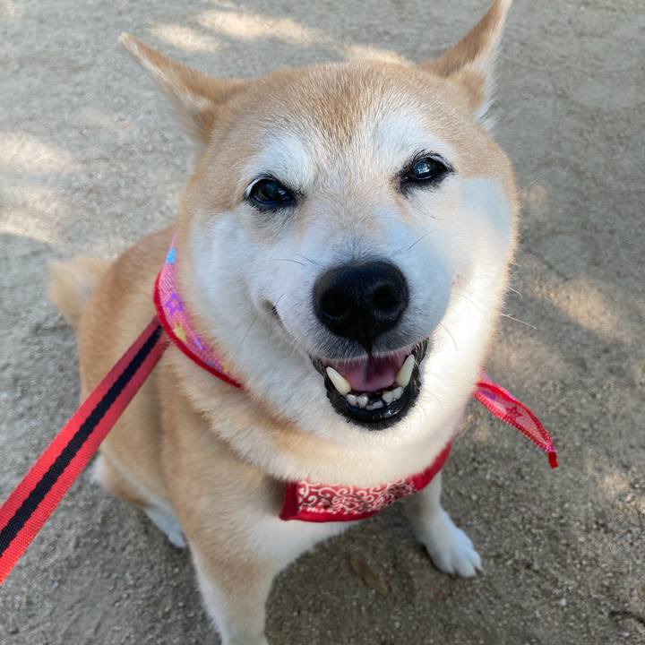 99808b35 a8d9 47eb a077 55e5a44c85c8 1627393013302