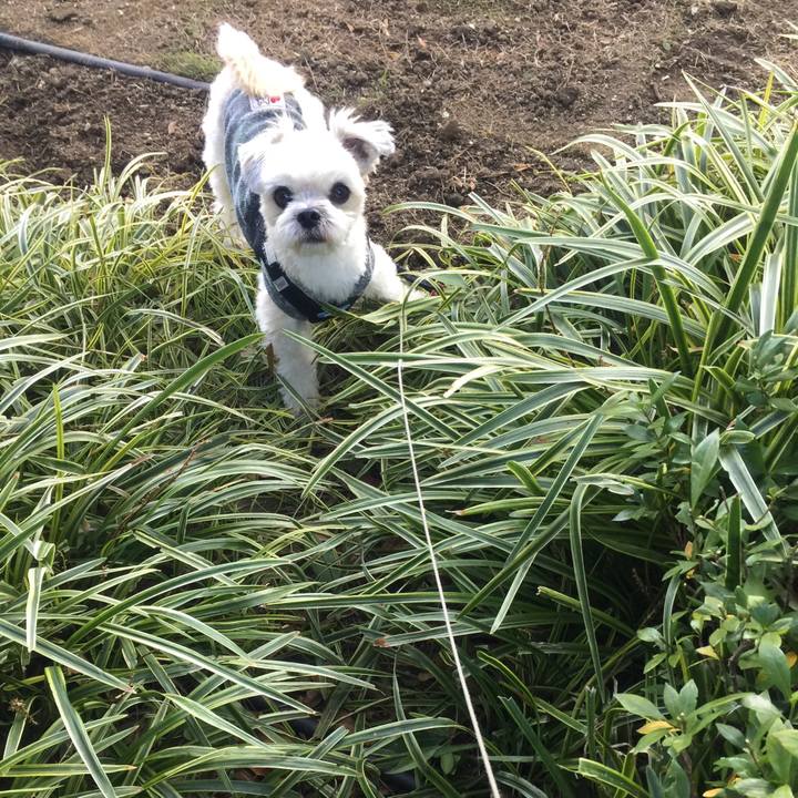 998092af a214 434c 9e24 f22bde386dca 1543123683675