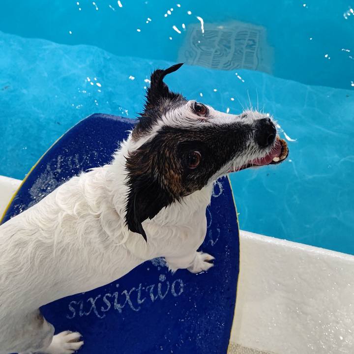 9980de58 47be 494b b314 3eaae109196e 1679395614799