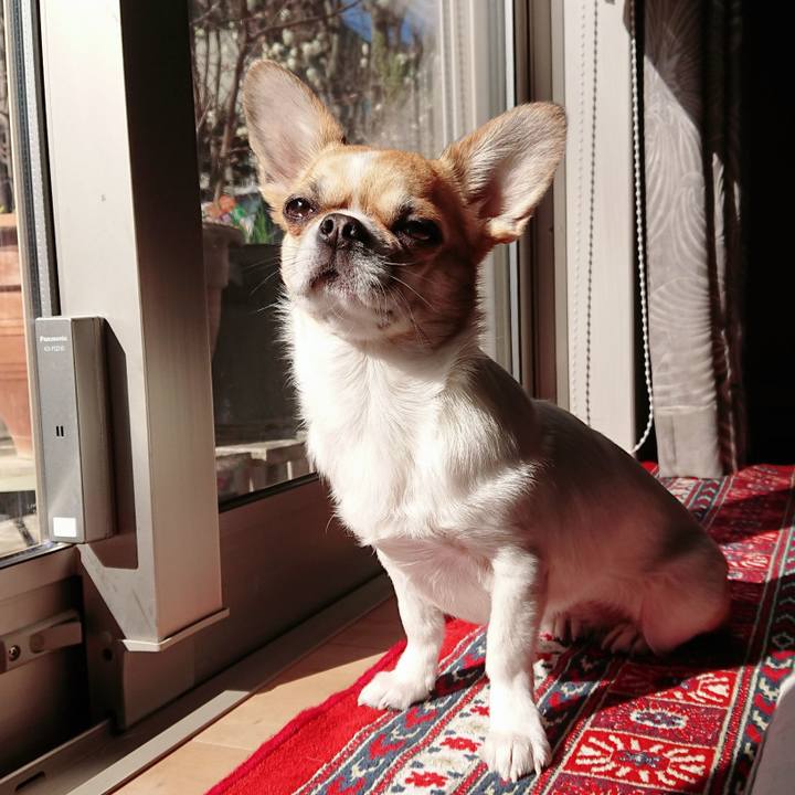 9980ec50 ada1 48ff b054 d7a6e47189e3 1615706337573