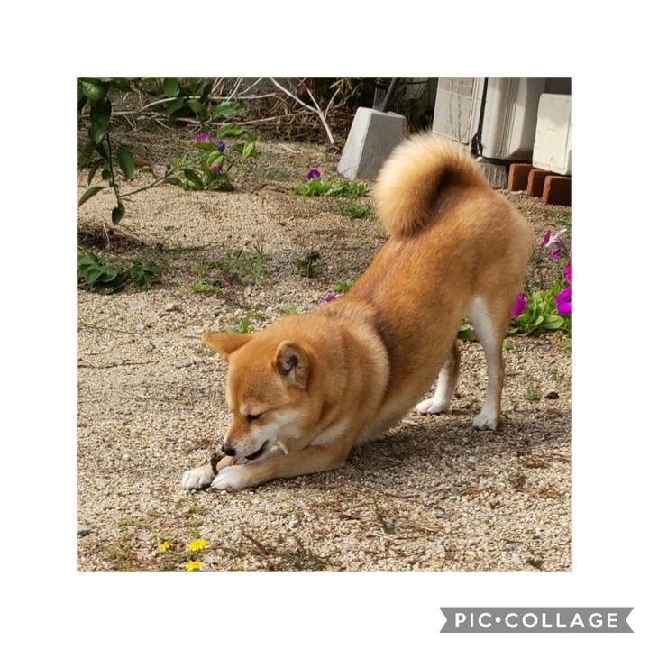 99813b3c 623b 45a8 b5ec e69c69266551 1669085165358