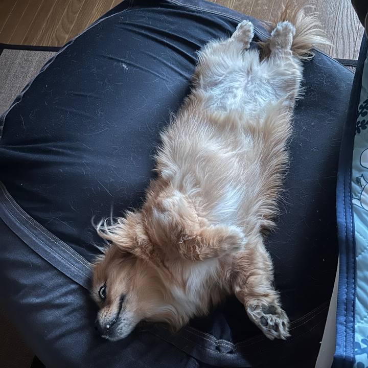 9981452f 0266 47cb 9c5b a37899a5c1c9 1726780202026