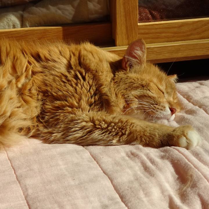 998155ab ce8a 4e43 9051 44066e815c91 1541757693997