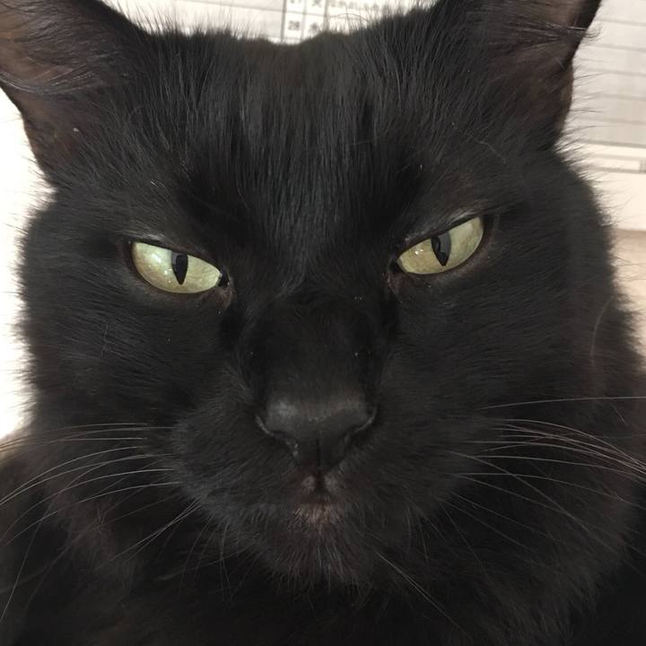 99815657 0b40 44e4 9613 b13b81b155ff 1537928286665