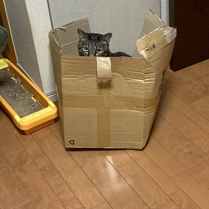 998169f2 54b6 4b2f 8f0b 5e811f476f58 1664252136036