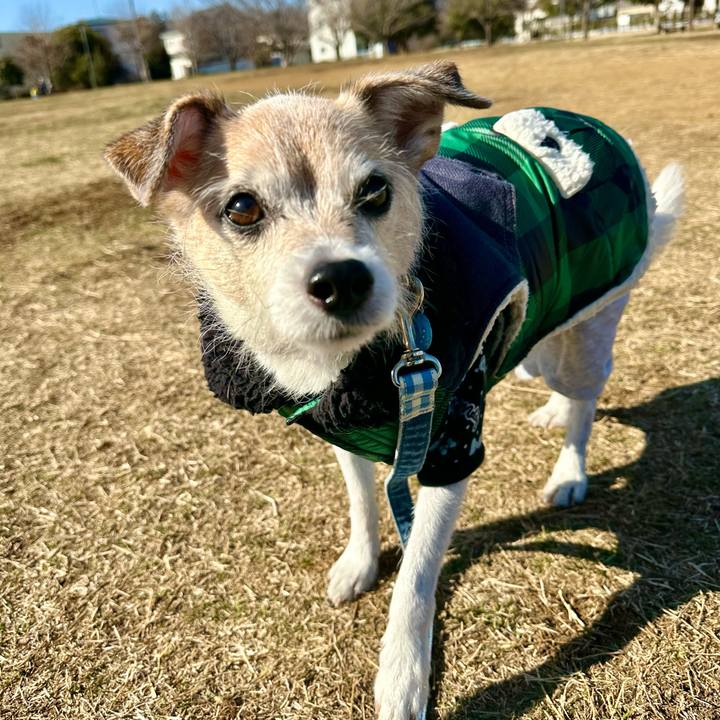 9981a8be 0990 4d01 a633 353bd193f38f 1706503842727