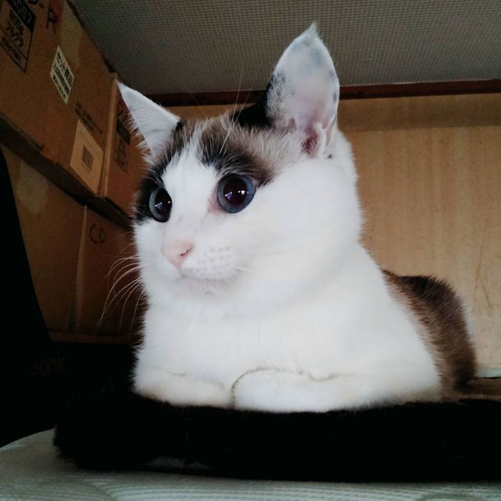 9981bd0f 6d4c 4098 b4e8 5f28c6da43ec 1641560740510