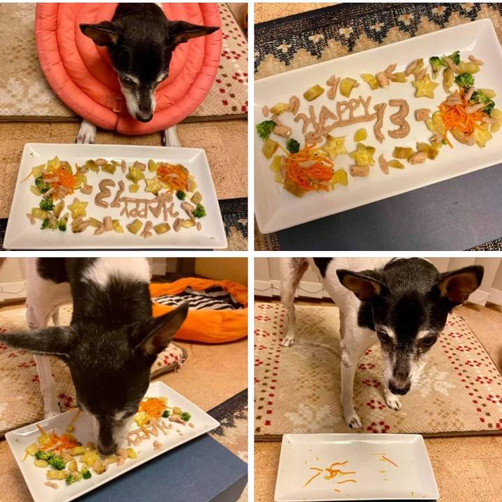 9981ce74 db1c 4dad 9447 34fa22c79050 1663154482087