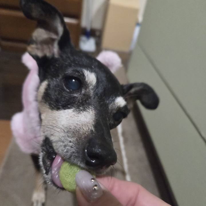 99821496 9c6c 4a5f 9bee 1a37850f5134 1763667542425