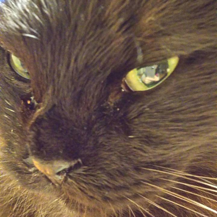 99821bdd a57f 4275 9f07 1fdc08deecff 1519988997275