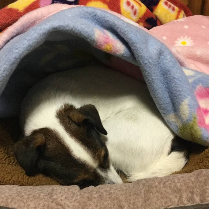 998240c4 6f89 48d3 b145 297f870122db 1548199721431