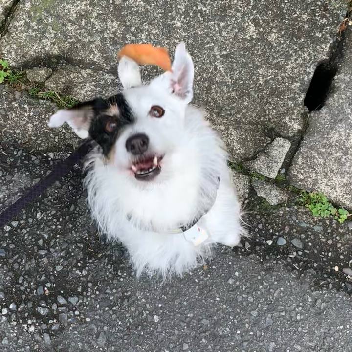 998251f2 a203 45aa 8e7e 67a2f1d59188 1715127689146