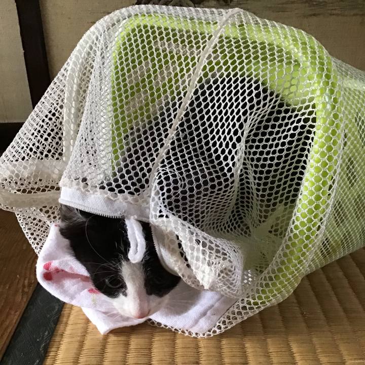 9982534b f234 48b6 b09d 2bd35fe7371b 1623728409411