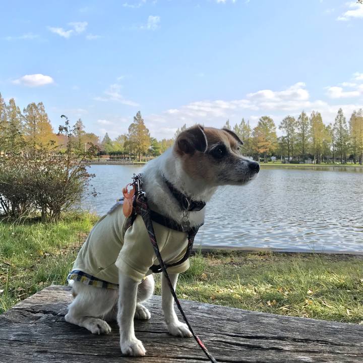 99827c1d 9b42 424e ba15 63b5cb344d17 1573273563686