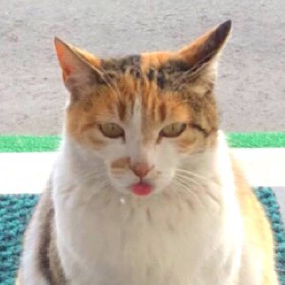 99828fce d68f 4950 acf6 90b58f9e896c 1520665932067