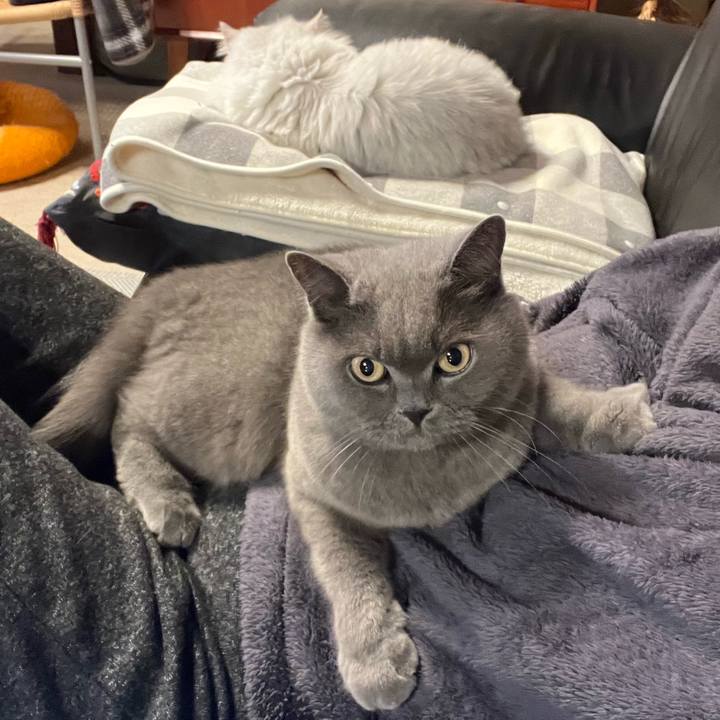 998298a0 3b30 4e8c a858 769597bb8b8d 1670500264225