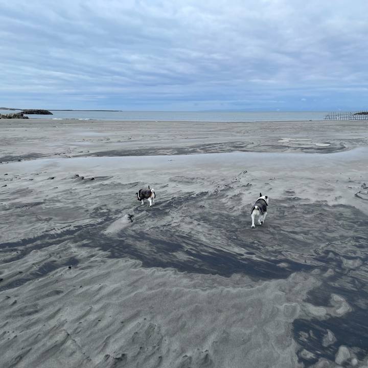 99829f75 96b1 419a a640 ec340f0a4e4b 1767745734654