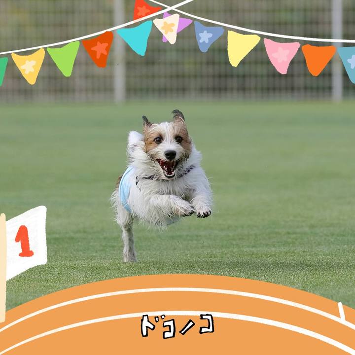 998311b9 0c17 4a19 9d35 9e5ca7796de2 1761470579855