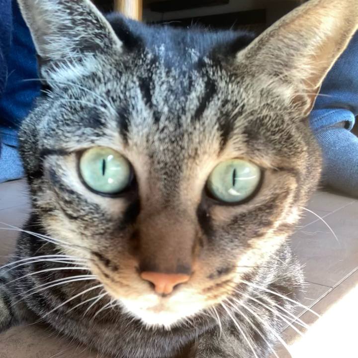 99835b94 2364 40a7 ae7c 085c3b51a4ad 1614476648355