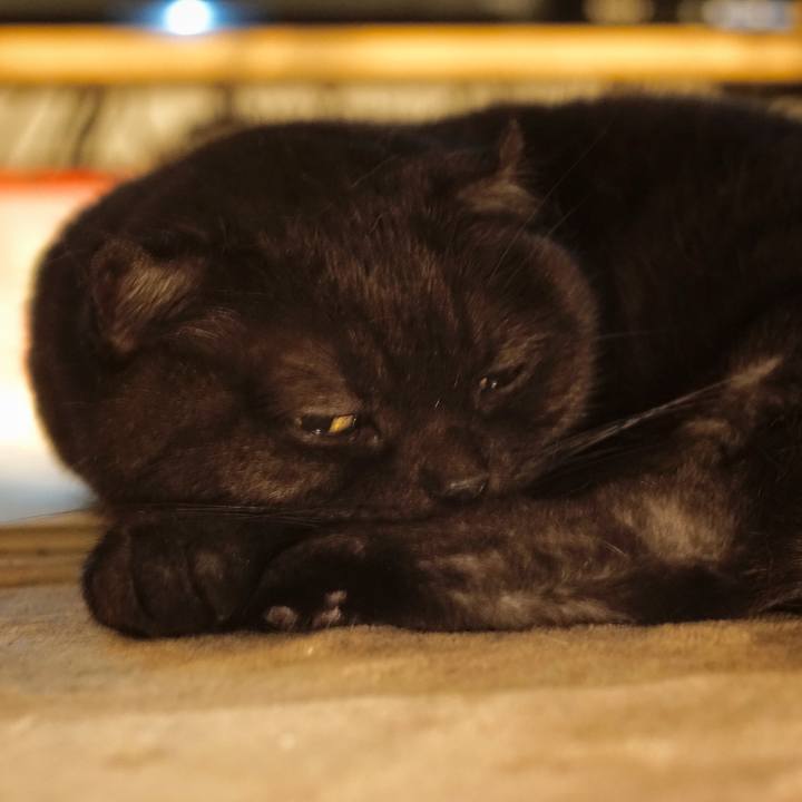 9983714b 7918 4053 ae34 08745df8abf9 1604582344205