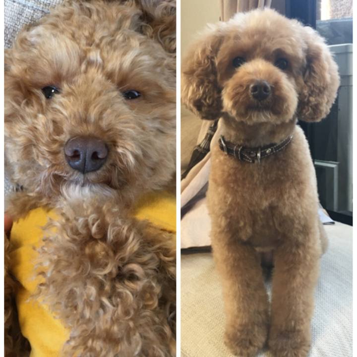 99837be6 1a67 4824 8926 ec4ddc588cd8 1520316343899