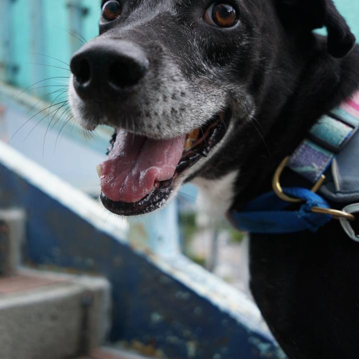 998386f6 6dbf 43d1 a7a0 13402a384266 1757808396948