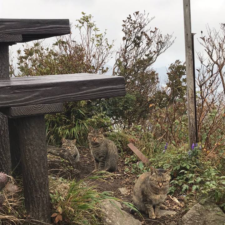 99839a0a a462 4564 94df 4cc379844236 1543831167475