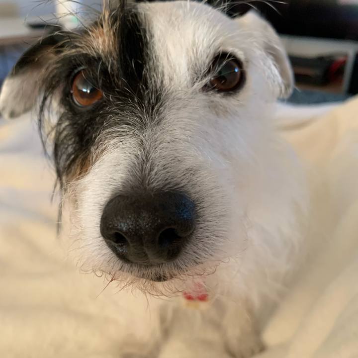 9983b3f5 5e56 4205 9d3d 9d2d0d3039f1 1705303482010