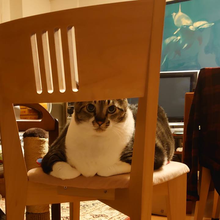 9983bb4a 411d 475b 977b 0b5b7a846134 1590495283168