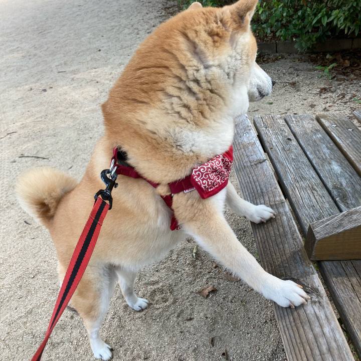 9983d72a b145 42a3 b60d 4ba3236b011c 1624618788932