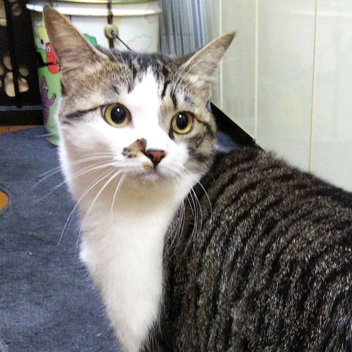 9983e338 70c3 4685 93f0 dcf7042b95ca 1651496134905