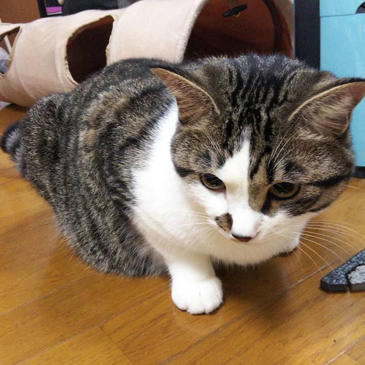 99840eff 7485 4921 97f7 4ebc546d9a35 1625827580619