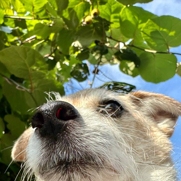 998415c7 5725 48b3 bb79 42e10f054bf0 1718148305505