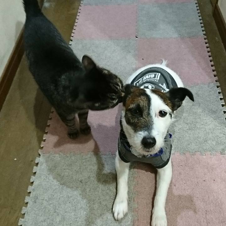 9984308c 0cfb 4715 8389 46450ee765e0 1520337684664