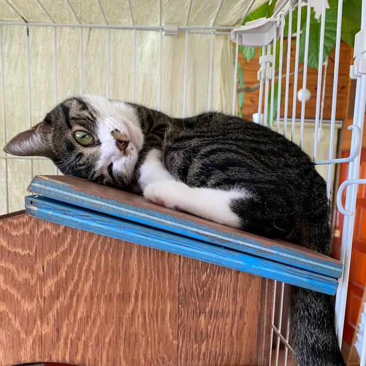 99848ec9 9ff5 4774 9a08 9ea83e0535db 1723001639050