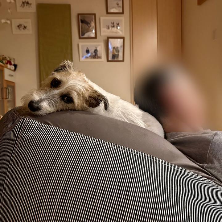 99849f1b 5263 4c58 ae26 fb2881a0817c 1700141953366