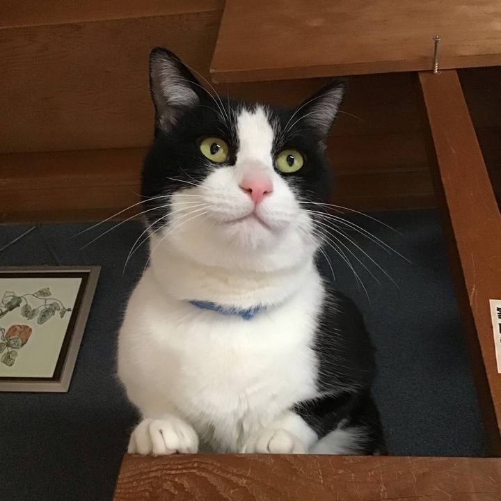 9984a366 a5cb 415c a5a6 d4ab1cf9410c 1677928951496