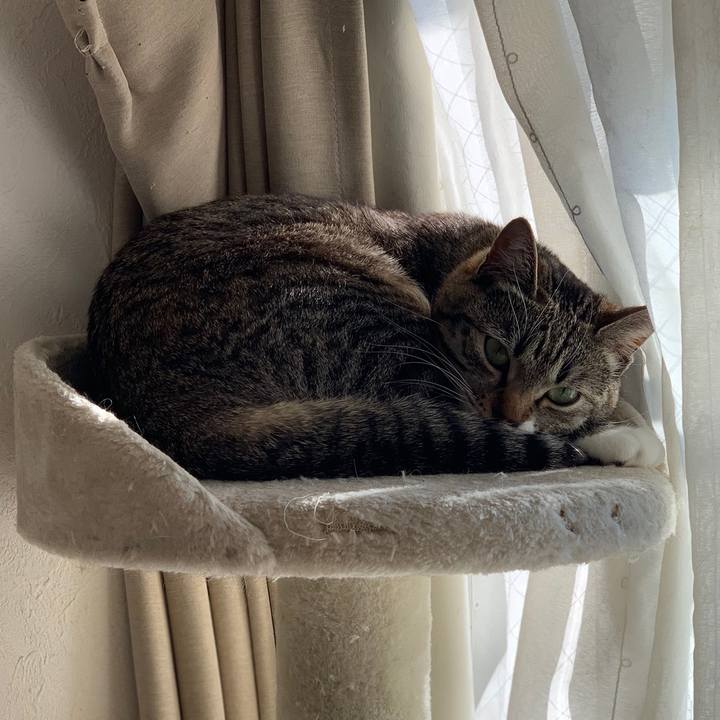 9984b328 def9 4b38 893c d62cbe54e555 1554076990192